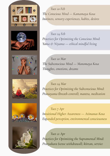 Exploring the Layers of Mind, Online Philosophy Series